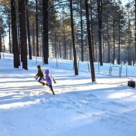 Close To Williams, Flagstaff, Grand Canyon And Sedona Экстерьер фото