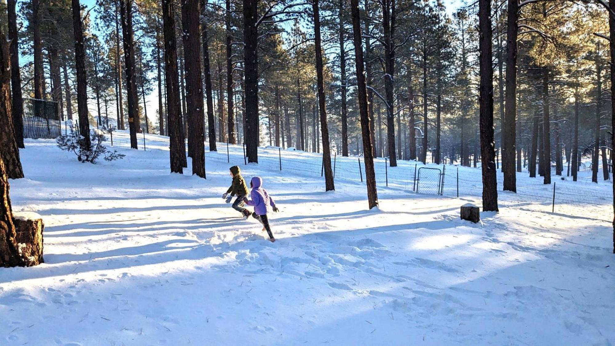 Close To Williams, Flagstaff, Grand Canyon And Sedona Экстерьер фото