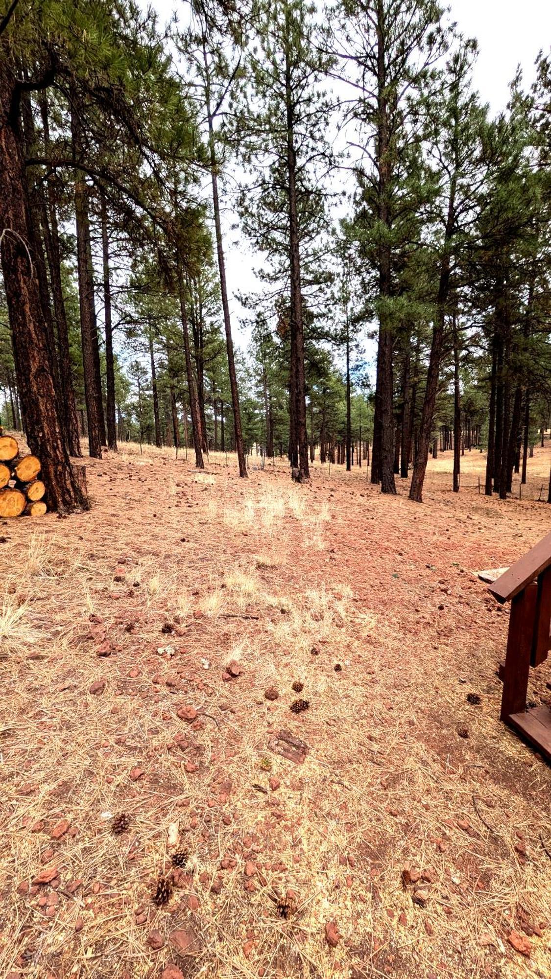Close To Williams, Flagstaff, Grand Canyon And Sedona Экстерьер фото